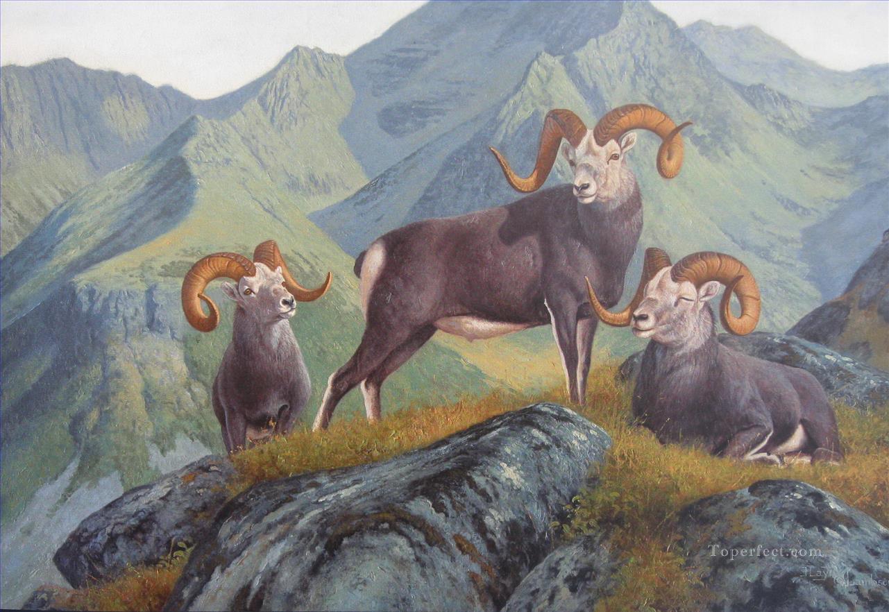 chèvre à Montagne Peintures à l'huile